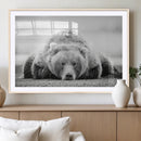 Resting Grizzly Bear Wall Art Canvas Print – Majestic Lazy by MyGreatCanvas | Canvas Wall Art Prints | Photo Prints & Wall Decor