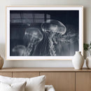 Jellyfish Wall Art Canvas Print, Modern Abstract Jellyfish