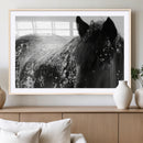 Black Horse in Snow Canvas Print | Winter Horse Wall Art |