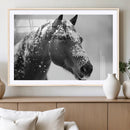 Horse Canvas Print - Winter Horse Snow Wall Art Canvas Print