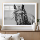 Western Wall Art | Black and White Winter Horse Wall Art | by MyGreatCanvas | Canvas Wall Art Prints | Photo Prints & Wall Decor