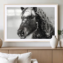 Framed Black and White Horse Wall Art | Ready to Hang and by MyGreatCanvas | Canvas Wall Art Prints | Photo Prints & Wall Decor