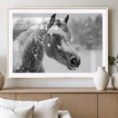 Black Horse Winter Wall Art | Ready to Hang and Framed |