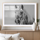 White Horse Wall Art | Ready to Hang and Framed | Winter