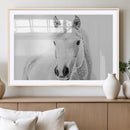 Majestic White Horse Wall Art | Ready to Hang and Framed |