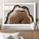 Rustic Wood Rings Wall Art | Nature-Inspired Tree Ring