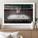Honda Center California Anaheim Ducks Ice Hockey Stadium