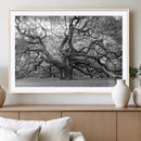 Black White Angel Oak Tree Wall Art - Timeless