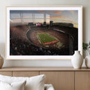 Ohio State University Buckeyes Football Team Print -