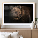 Wild Grizzly 399 Bear Canvas Wall Art Print, Bear Animal by MyGreatCanvas | Canvas Wall Art Prints | Photo Prints & Wall Decor