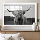 Highland Cow Wall Art | Black and White Farmhouse Decor |