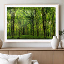 Lush Green Forest Canvas Print | 3-Panel Forest Wall Art |