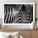 Zebra Wall Art – Zebra Close Up Wall Art – Framed Black by MyGreatCanvas | Canvas Wall Art Prints | Photo Prints & Wall Decor