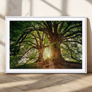 Majestic Ancient Tree Wall Art, NatureCanvas Print, Woodland by MyGreatCanvas | Canvas Wall Art Prints | Photo Prints & Wall Decor