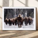 Bison Wall Art Canvas Print- Bison Herd Canvas Wall Art –