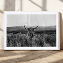 Black and White Highland Cow Canvas Wall Art, Longhorn by MyGreatCanvas | Canvas Wall Art Prints | Photo Prints & Wall Decor