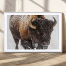 Bison Wall Art Canvas Print For Farmhouse, Wild Animal Wall by MyGreatCanvas | Canvas Wall Art Prints | Photo Prints & Wall Decor