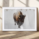 Bison Winter Wall Art Canvas Print For Farmhouse Decor by MyGreatCanvas | Canvas Wall Art Prints | Photo Prints & Wall Decor