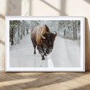 Bison Wall Art Canvas Print For Farmhouse, Animal Canvas