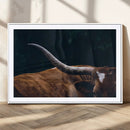Texas Longhorn Bull Wall Art Canvas Print - Large Framed by MyGreatCanvas | Canvas Wall Art Prints | Photo Prints & Wall Decor