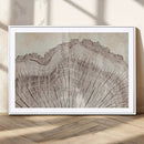 Tree Ring Wall Art Triptych, Rustic Wood Ring Canvas Print,