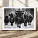 American Bison Art | Buffalo Herd Wall Art Canvas Print, BW