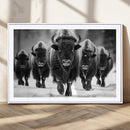 American Bison Art | Buffalo Herd Wall Art Canvas Print, BW