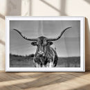 Texas Longhorn Cow Wall Art, Texas Longhorn Canvas, Cattle