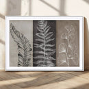 Minimalist Botanical Wall Art Canvas Print, Framed and Ready