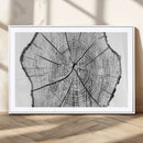 Rustic Tree Ring Wall Art Canvas Print – Framed and Ready to