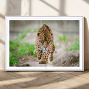 Leopard on the Prowl - Stunning Large Framed Leopard Wall