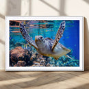 Underwater Sea Turtle Wall Art Canvas Print – Vibrant Ocean