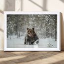 Grizzly Bear Wall Art – Framed Snowy Forest Canvas Artwork, by MyGreatCanvas | Canvas Wall Art Prints | Photo Prints & Wall Decor