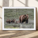 Wildlife Photography of 399 Grizzly Bear Cubs | Queen of the by MyGreatCanvas | Canvas Wall Art Prints | Photo Prints & Wall Decor