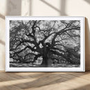 Ancient Oak Wall Art Canvas Print – Gnarled Tree Twisted by MyGreatCanvas | Canvas Wall Art Prints | Photo Prints & Wall Decor