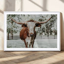 Texas Longhorn Wall Art Canvas Print – Framed Spotted Bull