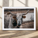 Texas Longhorn Wall Art Canvas Print – Framed Spotted Bull
