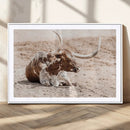 Texas Longhorn Wall Art Canvas Print – Framed Resting Bull by MyGreatCanvas | Canvas Wall Art Prints | Photo Prints & Wall Decor