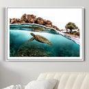 Sea Turtle Wall Art Canvas Print – Framed Ocean Life