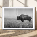 Bison in Prairie Wall Art Canvas Print – Framed Rustic by MyGreatCanvas | Canvas Wall Art Prints | Photo Prints & Wall Decor