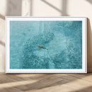 Fish Swarm Wall Art Canvas Print – Framed Marine Life Art by MyGreatCanvas | Canvas Wall Art Prints | Photo Prints & Wall Decor