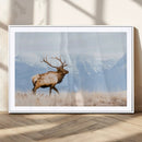 Elk Wall Art Canvas Print – Framed Mountain Wildlife Art by MyGreatCanvas | Canvas Wall Art Prints | Photo Prints & Wall Decor