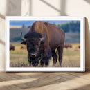 Bison Photography Wall Art Canvas Print – Framed Rustic by MyGreatCanvas | Canvas Wall Art Prints | Photo Prints & Wall Decor