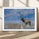 Elk Wall Decor Canvas Print – Framed Rustic Wildlife Art by MyGreatCanvas | Canvas Wall Art Prints | Photo Prints & Wall Decor