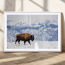 Bison Snow Wall Art Canvas Print – Framed Wildlife Scene by MyGreatCanvas | Canvas Wall Art Prints | Photo Prints & Wall Decor