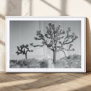 Joshua Trees Wall Art Canvas Print – Framed Black White