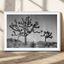 Joshua Tree Wall Art Canvas Print – Framed Monochrome Desert