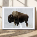 Bison Wall Art Canvas Print – Framed Western Wildlife