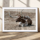 Texas Longhorn Wall Art Canvas Print – Framed Country Living