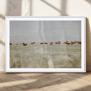 Bison Herd Wall Art Canvas Print – Framed Western Bison